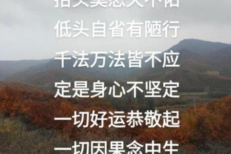 免费算命：八败命易破财