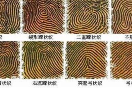 手指内侧长红胎记算命准吗