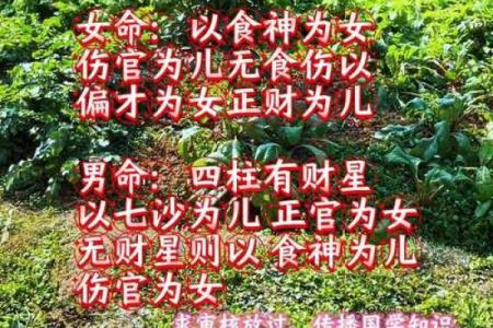 真的有童子命之说吗 算命的说我是童子命
