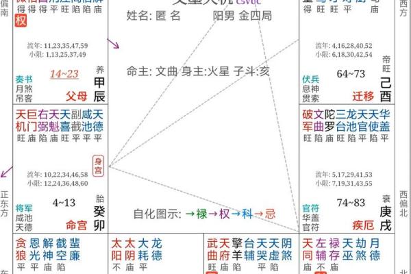 紫薇斗数测学业