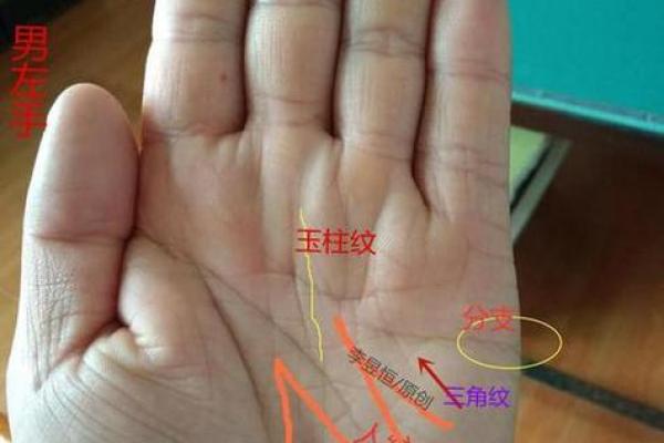 断掌纹看相算命图解