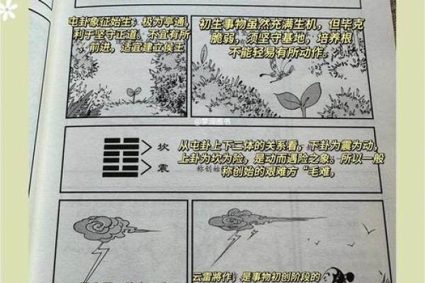 飞星紫微斗数用太岁入卦 紫微斗数太岁指什么？