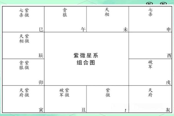 中国紫薇斗数排盘