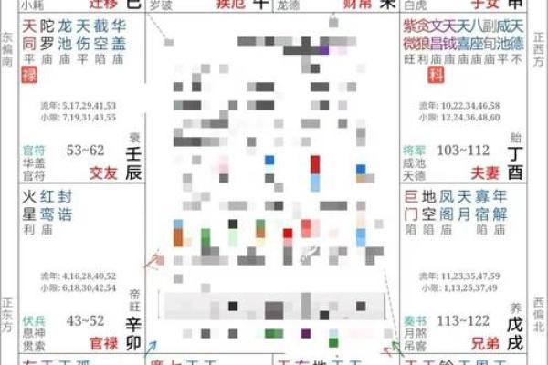 适合学紫薇斗数