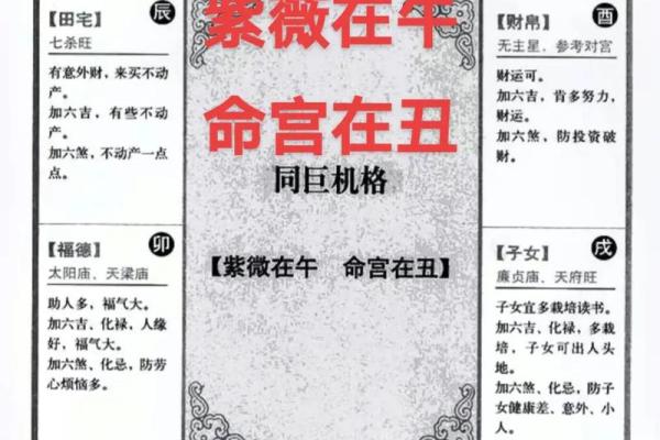 紫薇斗数里面的岁驿是什么意思