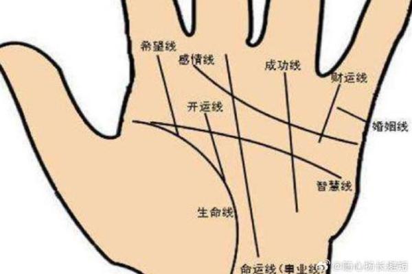 手相图解大全女右手算命 看手相算命图解女性右手