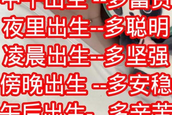 算八字命运