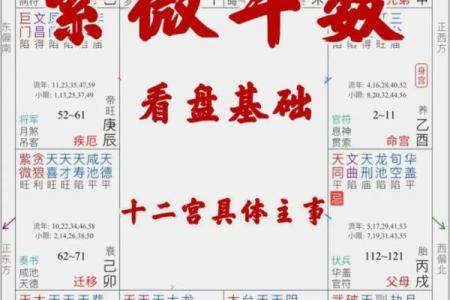 紫微斗数之四化象（上）：观照命盘可顿悟——命由心起，化归自然