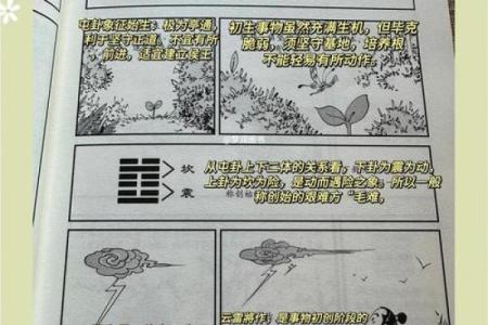 飞星紫微斗数用太岁入卦 紫微斗数太岁指什么？