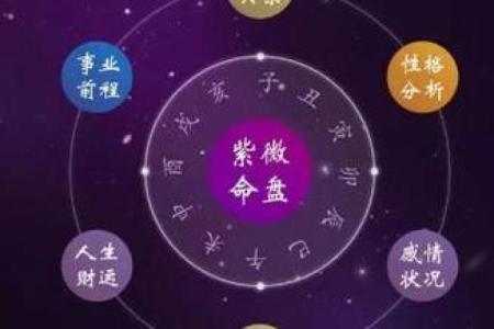 紫薇斗数abc.