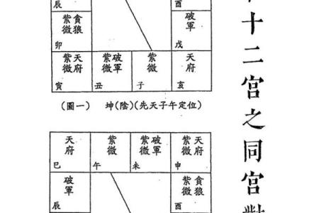 适合学紫薇斗数