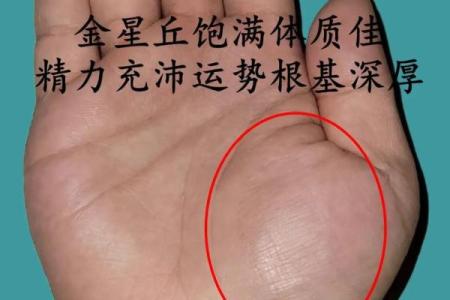 紫薇斗数感情多波折是什么意思