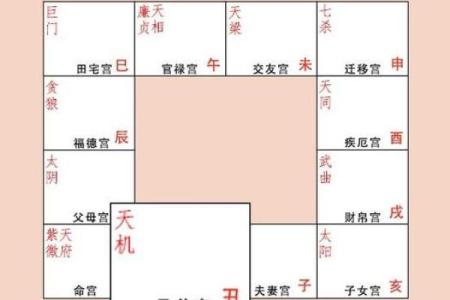 紫薇斗数看你何时生育