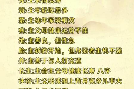 播放算命指什