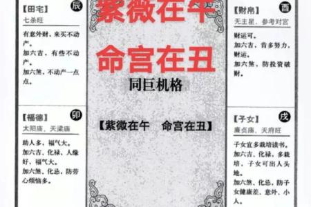 紫薇斗数里面的岁驿是什么意思