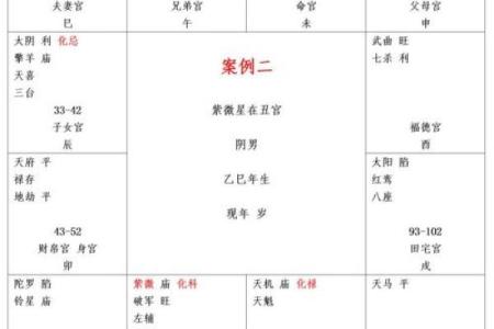 紫薇斗数星盘下载