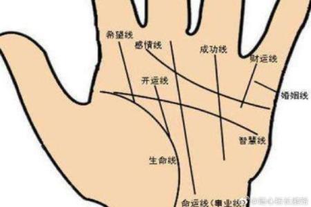 手相图解大全女右手算命 看手相算命图解女性右手