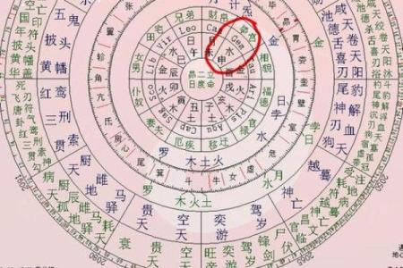 紫薇斗数怎么看嫁入豪门