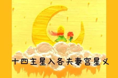 紫薇斗数夫妻宫代表