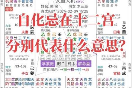 自紫薇斗数