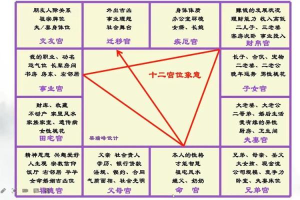 紫薇斗数体用宫