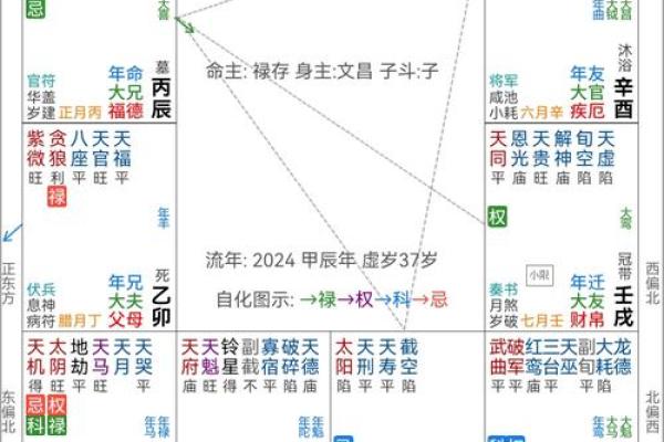 紫薇斗数流年怀孕