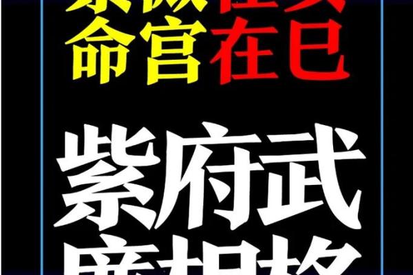 紫薇斗数看人贵贱