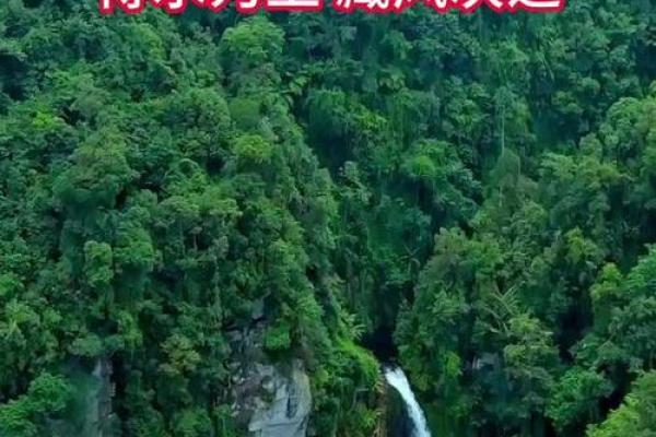 风水水的_什么是以水为财