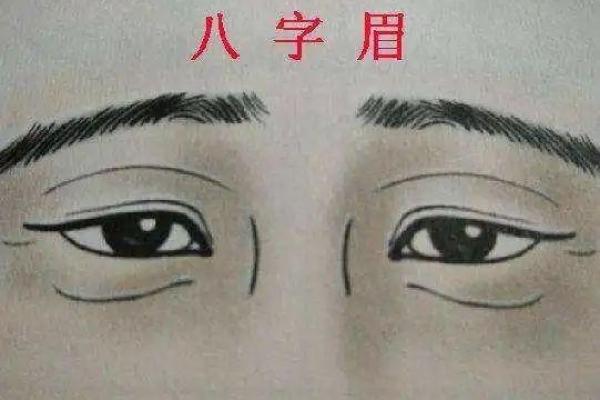 正八字眉的男人面相分析 男人哪种眉毛最好