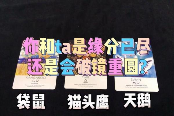 测试塔罗牌男女缘分准吗 塔罗牌测姻缘准吗？