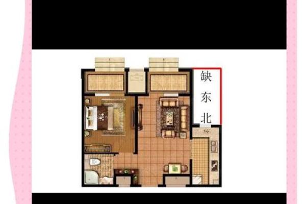 大门朝东北角的房子风水