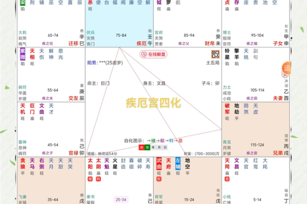 紫薇斗数的庙旺不利