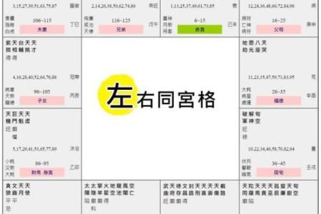 紫薇斗数中对拱是什么意思
