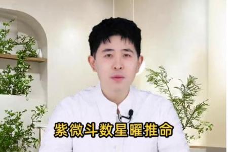 紫薇斗数真人算命