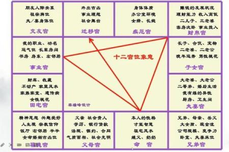 紫薇斗数实例详解视频