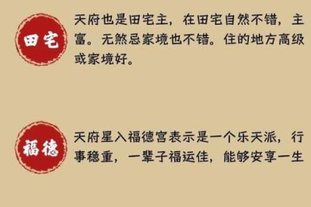 紫薇斗数看人贵贱