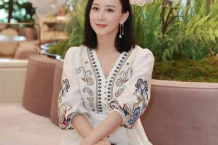 胡静紫薇斗数
