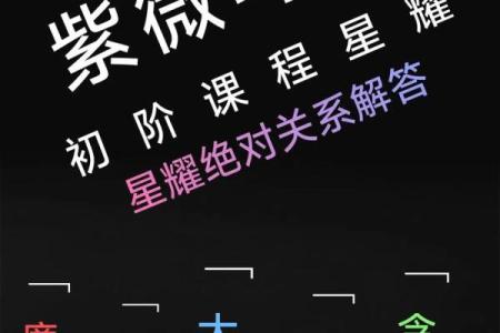 紫薇斗数紫薇入事业