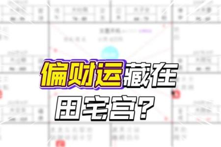 紫薇斗数财星怎么看