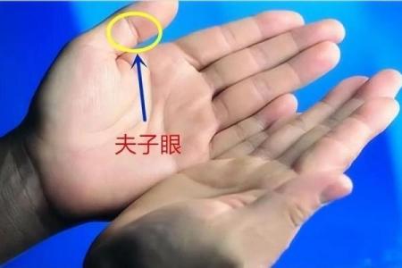 手相算命：假夫子眼的命运如何