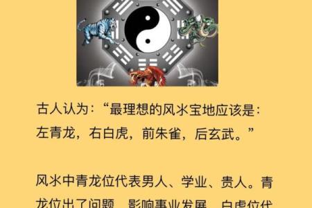 风水的左青龙右白虎是什么意思
