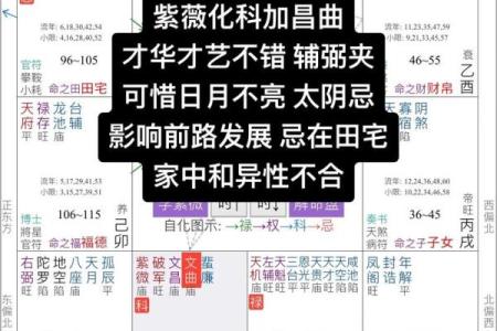 紫薇斗数旺平陷
