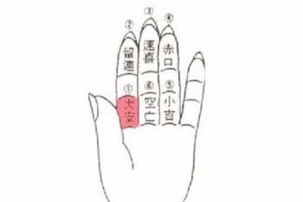 算命手势图含义
