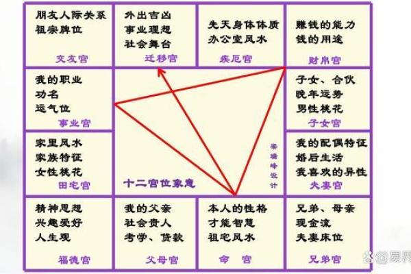 皇家紫薇斗数是什么