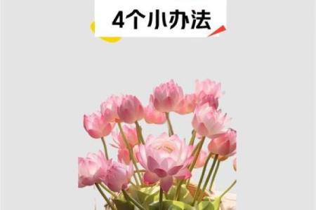 提升孩子成绩风水需要注意什么