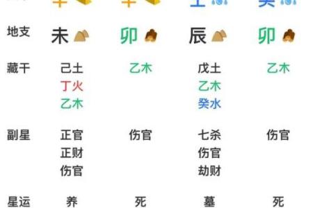 一分钟看懂八字排盘,八字排盘出来怎么解读