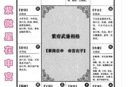 紫薇斗数哪些古籍