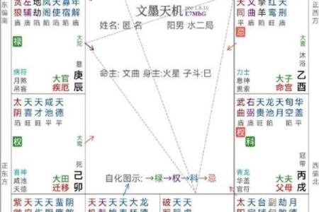秦始皇紫薇斗数
