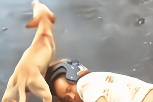 开车摔跤了还能去算命吗