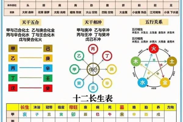 八字知识之